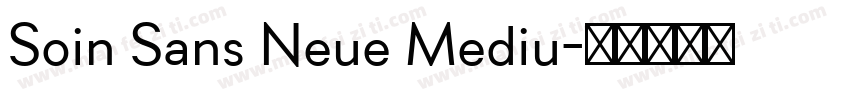 Soin Sans Neue Mediu字体转换